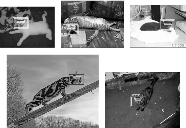 Figure 10: Registration on the true poses of the ﬁrst feature selected in the HB detector (see §6.5),which compares edge orientation histograms