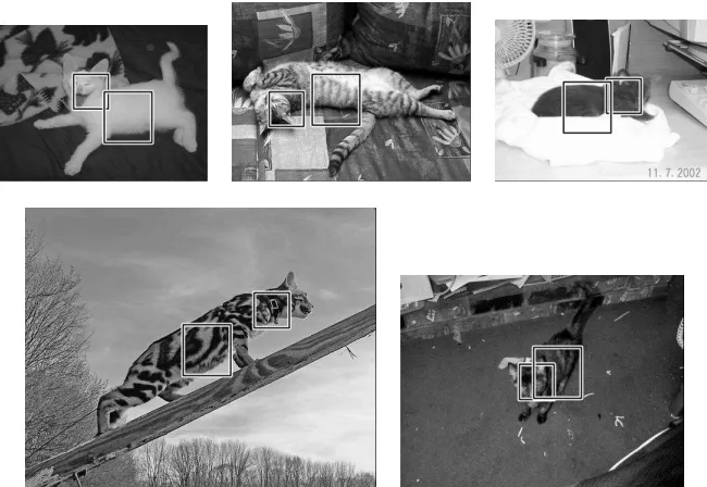 Figure 11: Registration on the true poses of the third feature selected in the second level of the HBdetector (see §6.5), which compares grayscale histograms