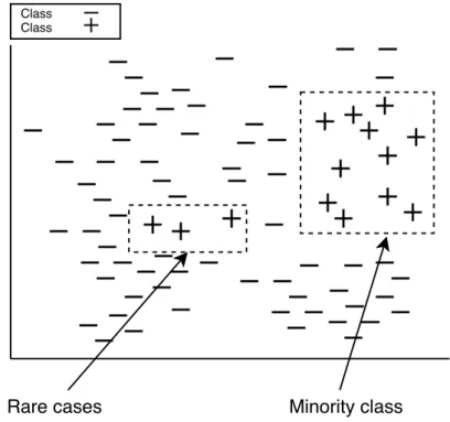 Figure 1.1: Example of rare cases in class-imbalanced data