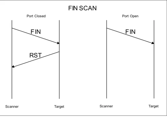 Figure D-2: FIN Scan 