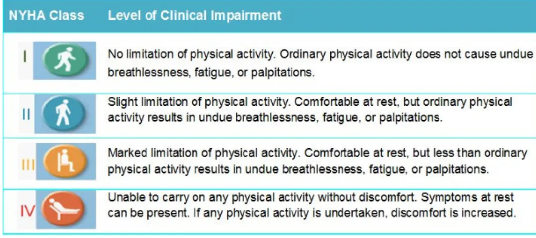 Figure 4: New York Heart Association (NYHA) Functional Classification of Breathlessness, used in patients with heart failure, grading I-IV.