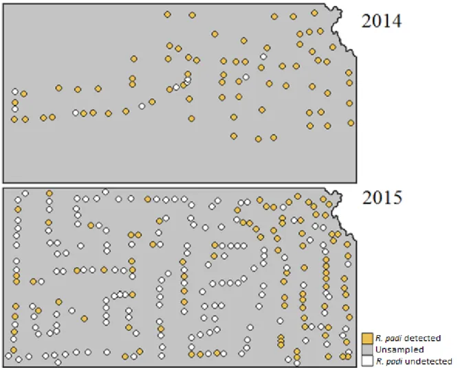 Figure 2.3: Incidence of R. padi detected in samples across Kansas in 2014 and 2015. Dots  represent sample site