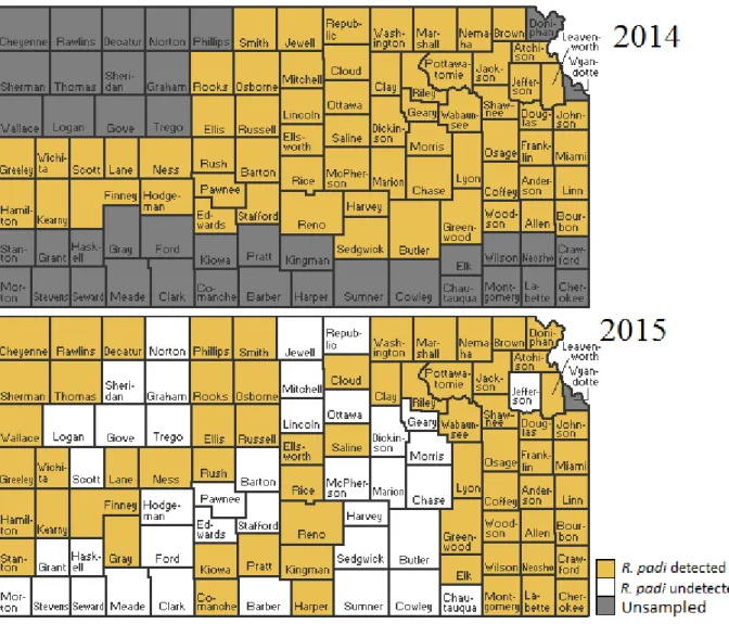 Figure 2.4: Incidence of R. padi in samples, by Kansas counties in 2014 and 2015. Counties  that were sampled but R