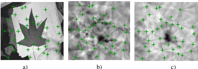 Figure 6: A test image of a leaf with background and small clutter. a) The testimage with the foundinterest points