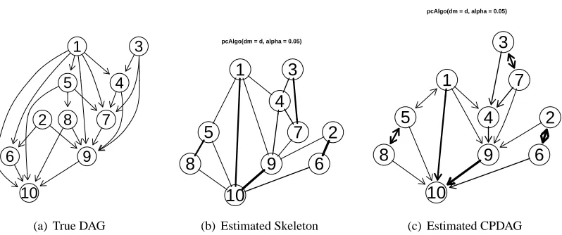 Figure 5: Plots generated using the R-package pcalg as described in Section 5. (a) The true DAG.(b) The estimated skeleton using the R-function pcAlgo with α = 0.05 and n = 10000.Line width encodes the reliability (z-values) of the dependence estimates (th
