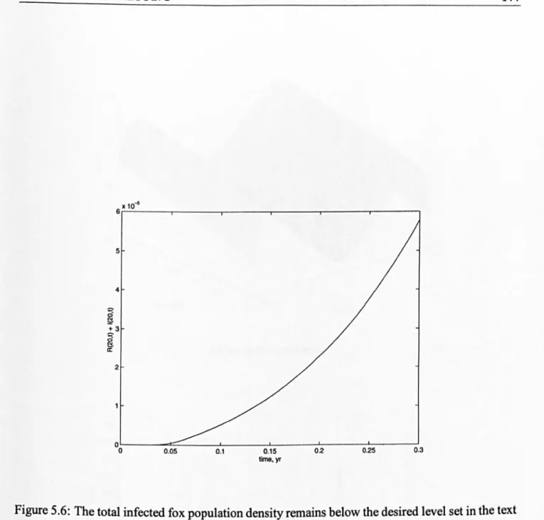 Figure 5.6:  The total infected fox population density remains below the desired level set in the text  at each boundary
