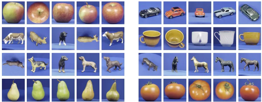 Figure 5: Example images from the ETH-80 objects database. Five images from each of the eightobject classes (apple, cow, dog, pear, car, cup, horse, and tomato) are shown here.
