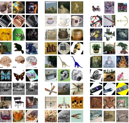 Figure 7: Example images from the Caltech-101 database. Three images are shown for each of 27of the 101 categories.