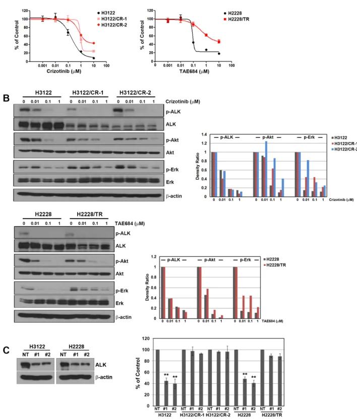 Figure 1: Development of acquired resistance to ALK inhibitors in the H3122 and H2228 cell lines