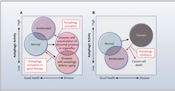 Figure 2. Clinical Scenarios in which Autophagy Modulation May Be Useful.