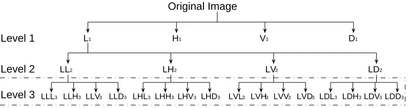 Figure 2: The wavelet decomposition tree used in this study.The dashed part is the spatial-frequency dictionary D in the LDC algorithm