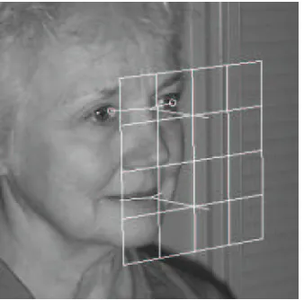 Figure 6: Screenshot from annotation tool.