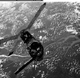 Figure 2. Skylab over the Amazon