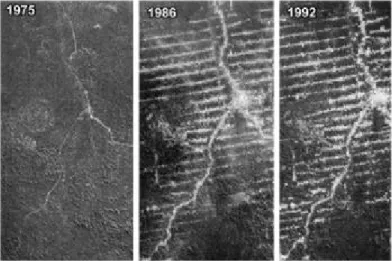 Figure 11. Deforestation in the Amazon