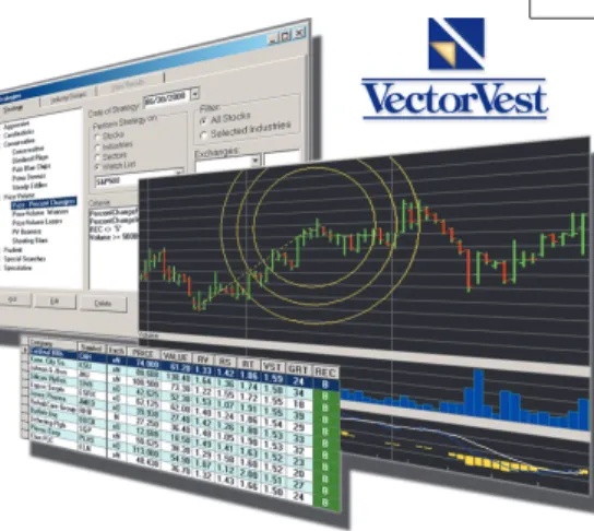 FIGURE 1: THE STOCK VIEWER SPREADSHEET: The Stock Viewer spreadsheet appears with the proprietary indicators  developed  by  VectorVest,  plus  more  than  20  additional  fundamental  and  technical  analysis categories