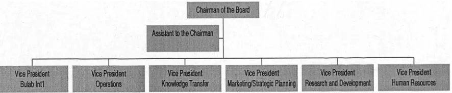 Figure 4-1: Organisational structure of Buckman Laboratories (Source: BuckmanLabs, 1998)