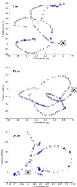 Figure 10. DJI Phantom 2 deviation during hovering test using image processing. 