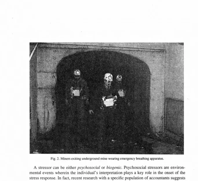 Fig. 2. Miners exiting  underground mine wearing emergency breathing apparatus. 