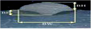 Fig.3.3 Weld Bead after Macro-Etchin 