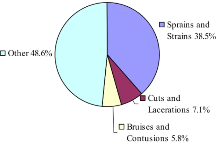 Figure 1.1—Most Common Injuries of Workers’ Compensation Claimants 