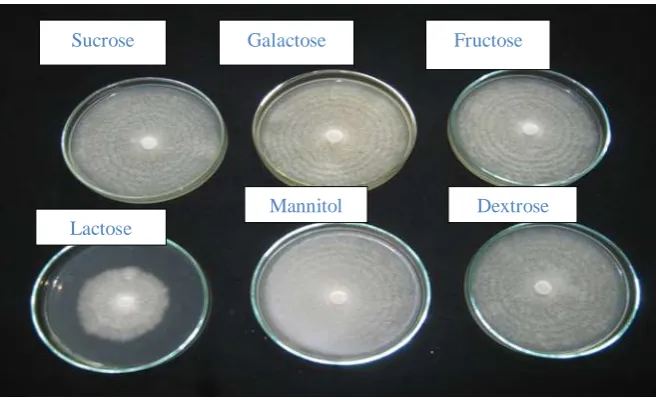 Fig. 1 and Fig. 2 revealed the effect of different carbon sources in solid media on the growth of Lentinula edodes