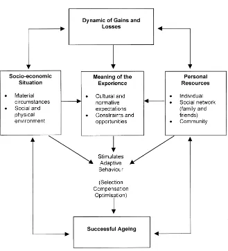 Figure 1  Social–cultural model of successful ageing