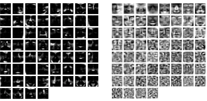 Figure 6: Bases learned by non-negative matrix factorization (left) and probabilistic principal com-ponents analysis (right), when trained on the face images.