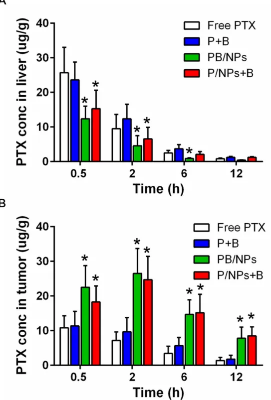 Figure 9A). Surprisingly, although P/NPs+B exhibited the  similar anticancer efficacy as PB/NPs in above a series of  in vitro tests, the inhibition effect on tumor volume growth  of P/NPs+B was significantly lower than that of PB/NPs
