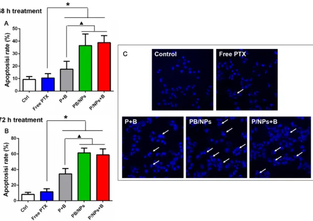 Figure 7: Apoptosis induction effect of various PTX formulations on A2780/PTX cells with 48 h (A) and 72 h (B) incubation  by Annexin  V-FITC/PI  double  staining  method; Apoptosis  nucleus  observation  of A2780/PTX  cells  treated  by  various  PTX form