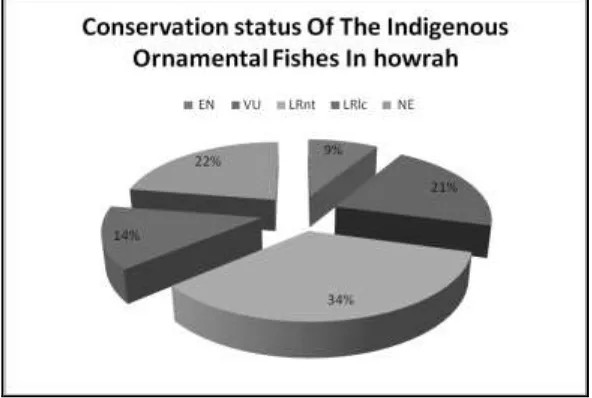 Figure 3: Conservation status of the different fish specimens collected. 9% endangered (EN) category;21%vulnerable (VU) category; 34% Low risk nearly threatened (LRnt) category;  14% Low risk least concern (LRlc) category and 22% not evaluated (NE) categor