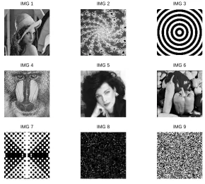 Figure 1: The nine gray-level images used in the experiments.