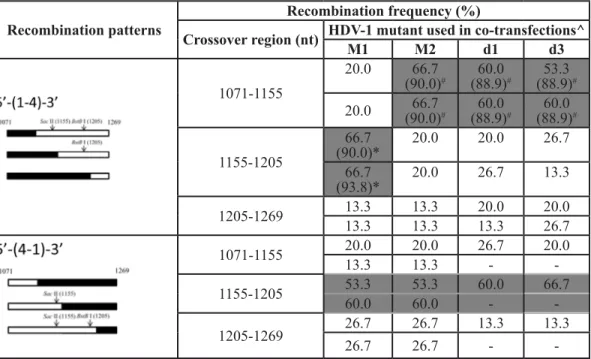 Table 1: Effect of the bulge-reducing mutants on distribution of the recombination junctions occurring at nt 1071- 1071-1269