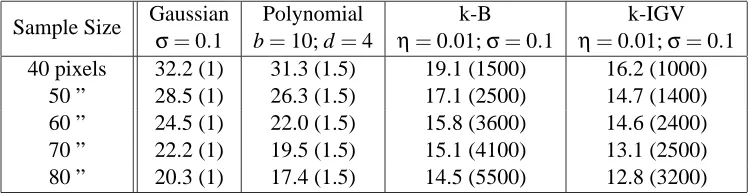 Table 1: SVM Error rate in percents of different kernels used on a benchmark test of recognizingdigits images, where only 40 to 80 black points where sampled from the original images.The 1,000 images where randomly split into 3 balanced sets to perform cro