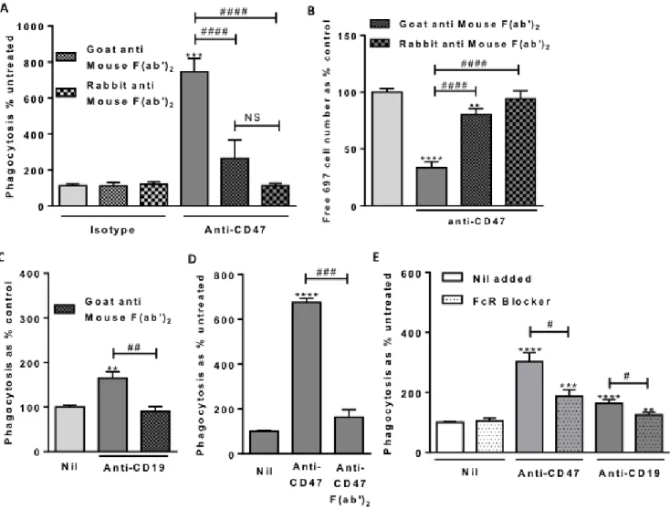 Figure  6:  Macrophage  Fc  Receptor  binding  is  necessary  for  anti-CD47  and  anti-CD19  induced  phagocytosis