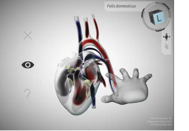 Figure d: Form & Function 3D, Brendan Polley. Retrieved from: brendanpolley.com 