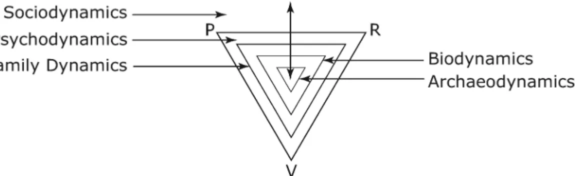 Figure 19.  The Darwinian Triangle 4.0 ** 