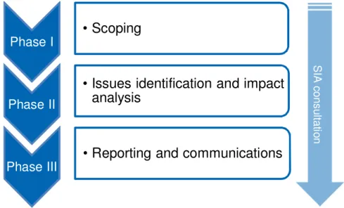 Figure 11-1: Social impact assessment phases 