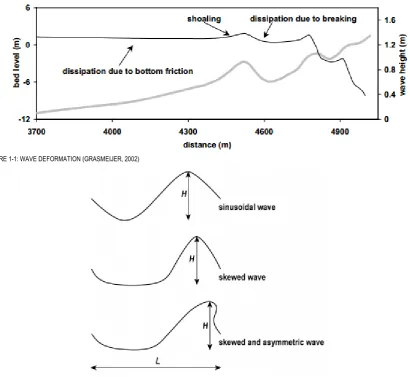 FIGURE 1-1: WAVE DEFORMATION (GRASMEIJER, 2002) 