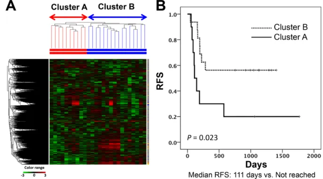 Figure 1: Subgrouping through unsupervised hierarchical clustering in the discovery study