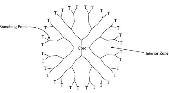 Figure  1.1 Main  Structural  Features of a Dendrimer 