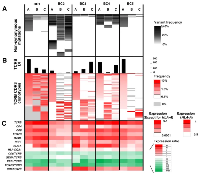 Figure 2: Integrated analysis of non-synonymous mutations, TCRB repertoire and immune-related gene expression  levels  for  intra-tumoral  heterogeneity