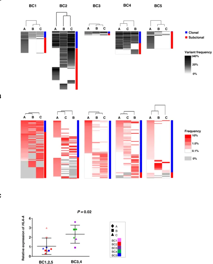 Figure 3: Clustering analysis of the multiregional non-synonymous mutation profiles and TCRB repertoires