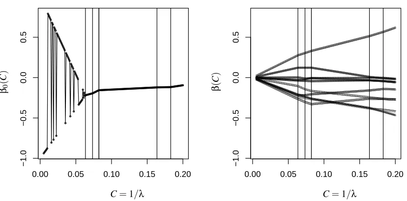 Figure 5: The initial paths of the coefﬁcients in a small simulated dataset with n− = n+