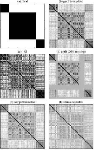 Figure 2: An example of kernel matrix completion. Suppose that we have an incomplete kernel matrix like(d)