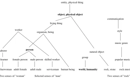 Figure 6: Portion of the WordNet hypernym hierarchy showing three different generalizations ofthe word “man”