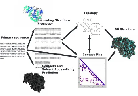 Figure 1: Overall pipeline strategy for machine learning protein structures.Example of 1SCJ(Subtilisin-Propeptide Complex) protein