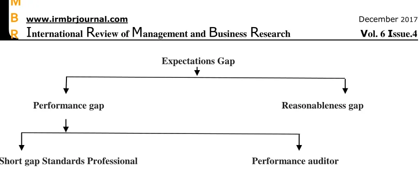 Figure 2. The special audit expectations gap Classifications 
