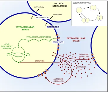 Fig. 2. Schematic representation of the main processes simultaneously at play during early mam-malian development