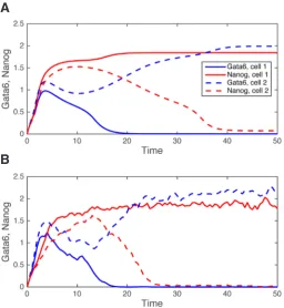 Fig. 3. Deterministic (A) versus stochastic (B) simulation of the gene regulatory network (GRN) driving epiblast  (Epi) versus primitive endoderm (PrE) cell specification