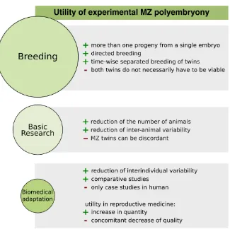 Fig. 4. Fields of application of experimental monozygotic (MZ) polyembryony. All 3 fields of application – animal breeding, basic research, and biomedical adaptation – reveal the advantages and disadvantages of using artificially generated or – in human – 